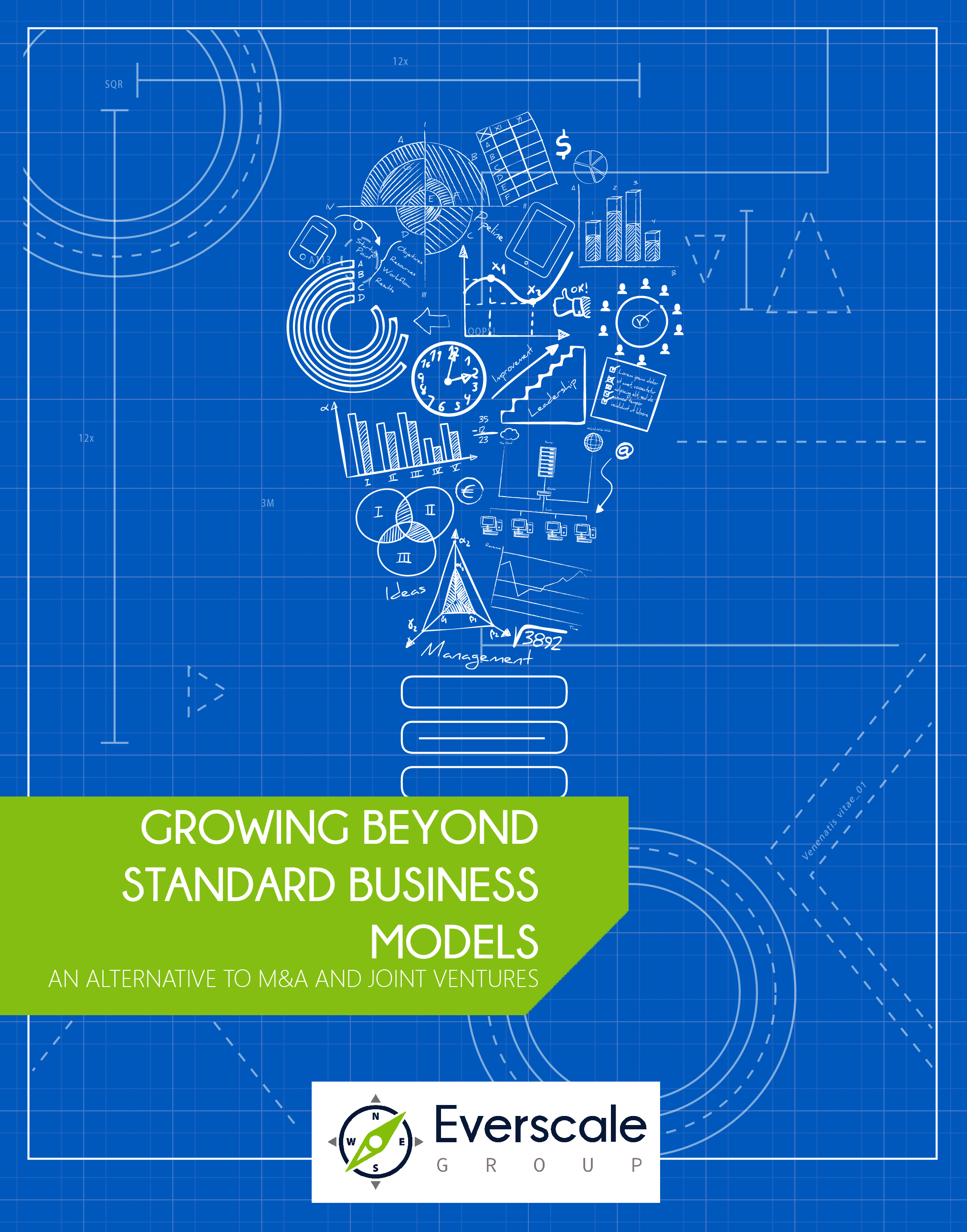 Growing Beyond Standard Business Models
